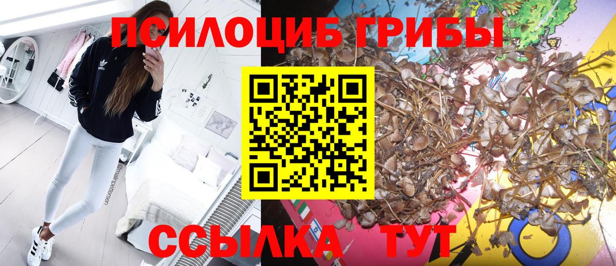 Псилоцибиновые грибы ЛСД  Вход с VPN  что такое   Арзамас 